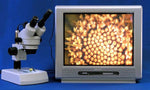 Cámara para Microscopio MA-35N