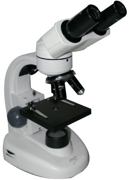 Microscopio Biológico Binocular OX-BINO (Estudiantil, 40, 100 y 400x)